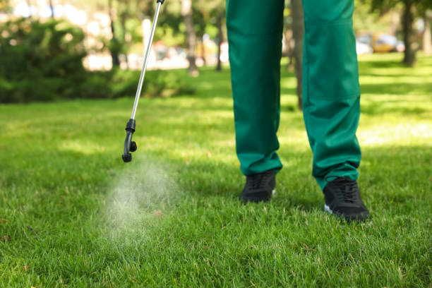 Best Pest Removal Services  in Toona, AL