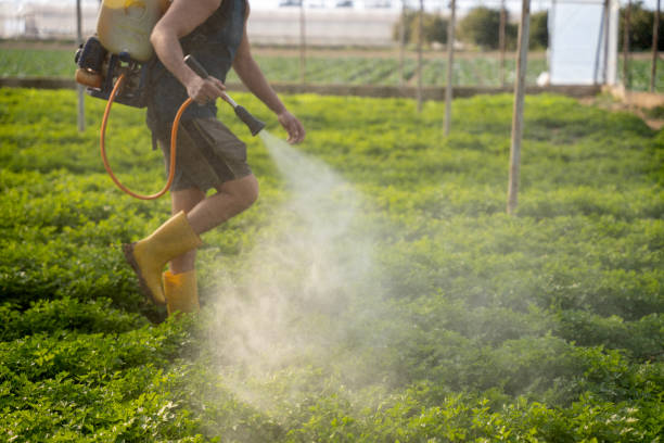 Best Wildlife Control Services  in Toona, AL