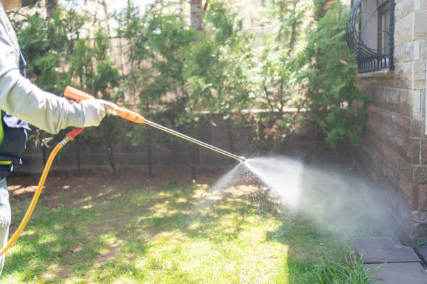 Best Pest Inspection Near Me  in Toona, AL