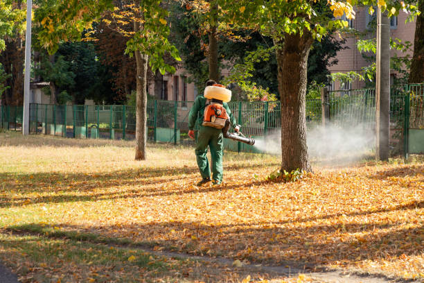 Best Cockroach Control Services  in Toona, AL