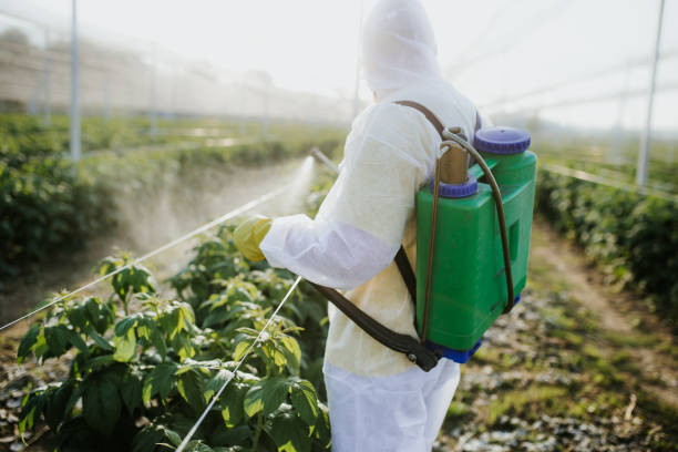 Best Best Pest Control Companies  in Toona, AL